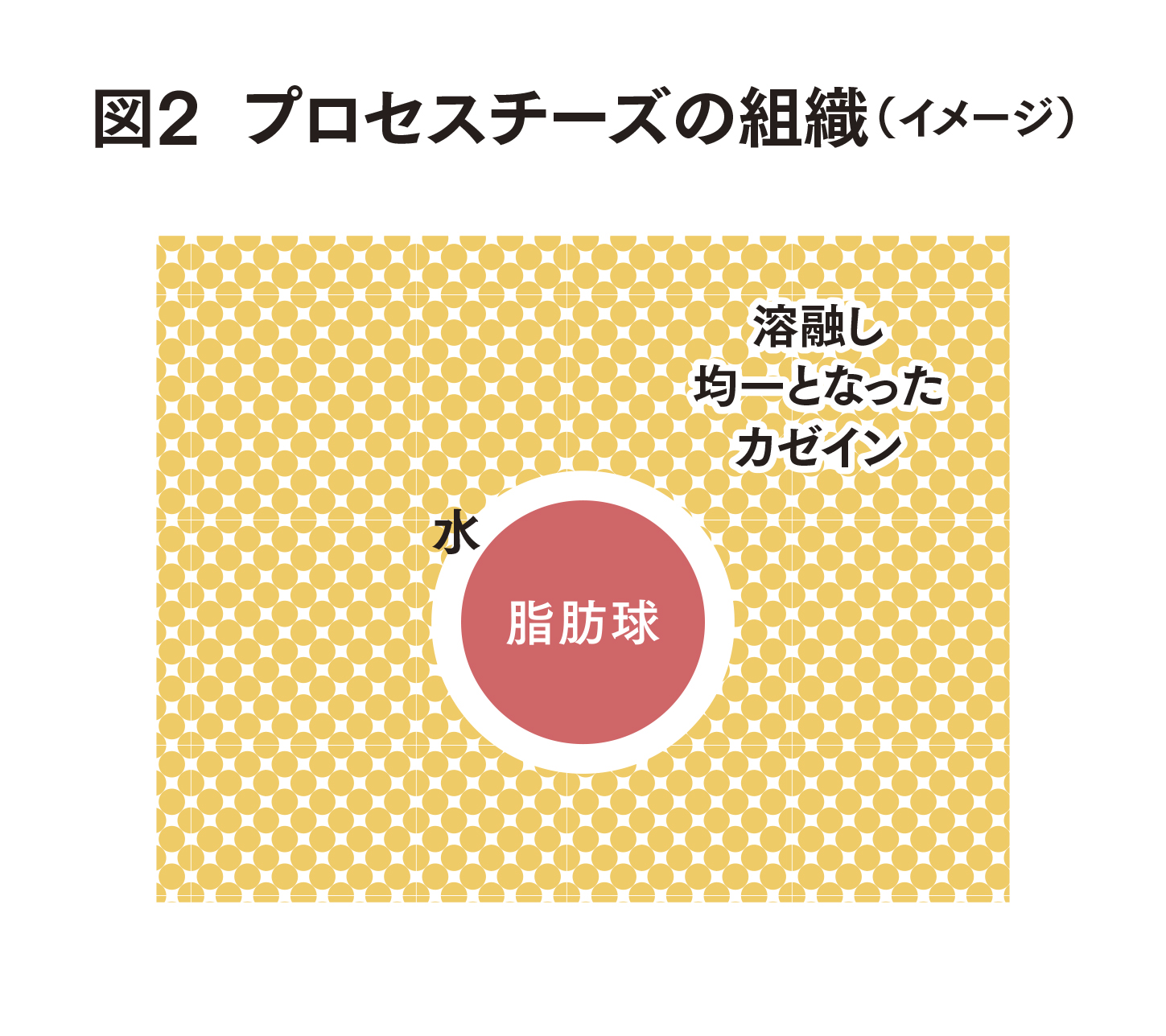 現代チーズ学 C.P.A. | ダンチェッカーの草食叢書